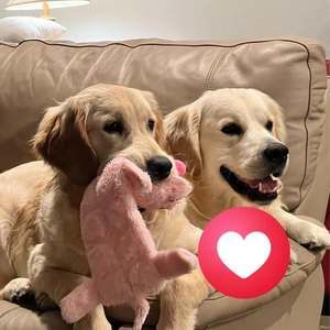 Meet your Posher, Jay